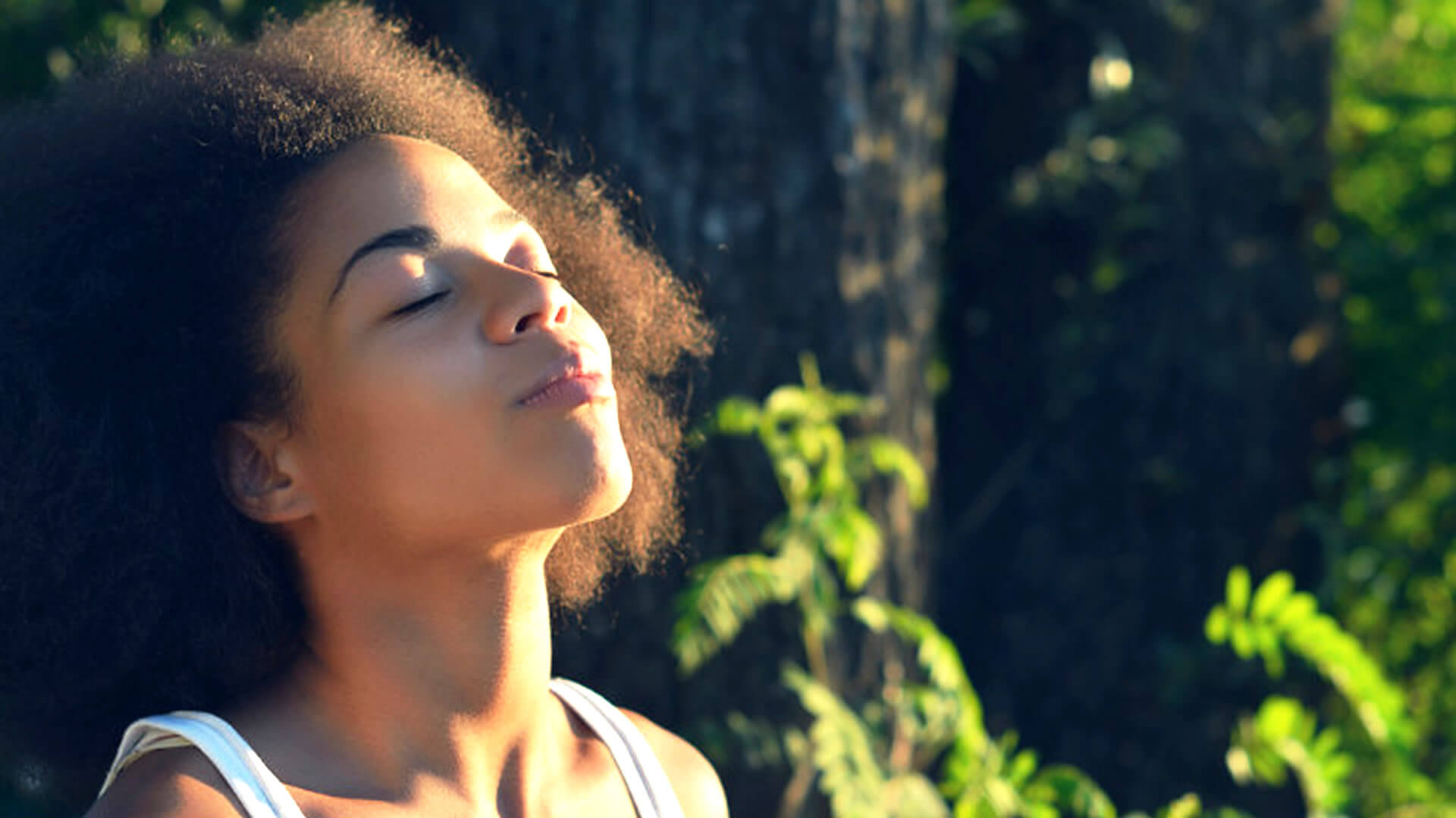 Como os Odus de Nascimento Podem te Ajudar a Ser Feliz? Blog Orixás