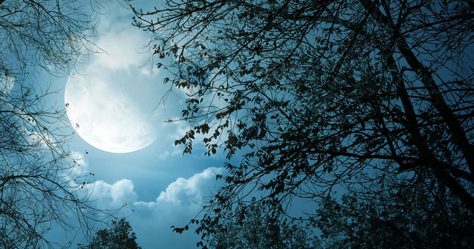 Orixás Para Crianças | Crescente, Cheia, Minguante ou Nova... Qual a melhor fase da lua para os seus rituais e como ela influencia nossas energias? Acesse e descubra!