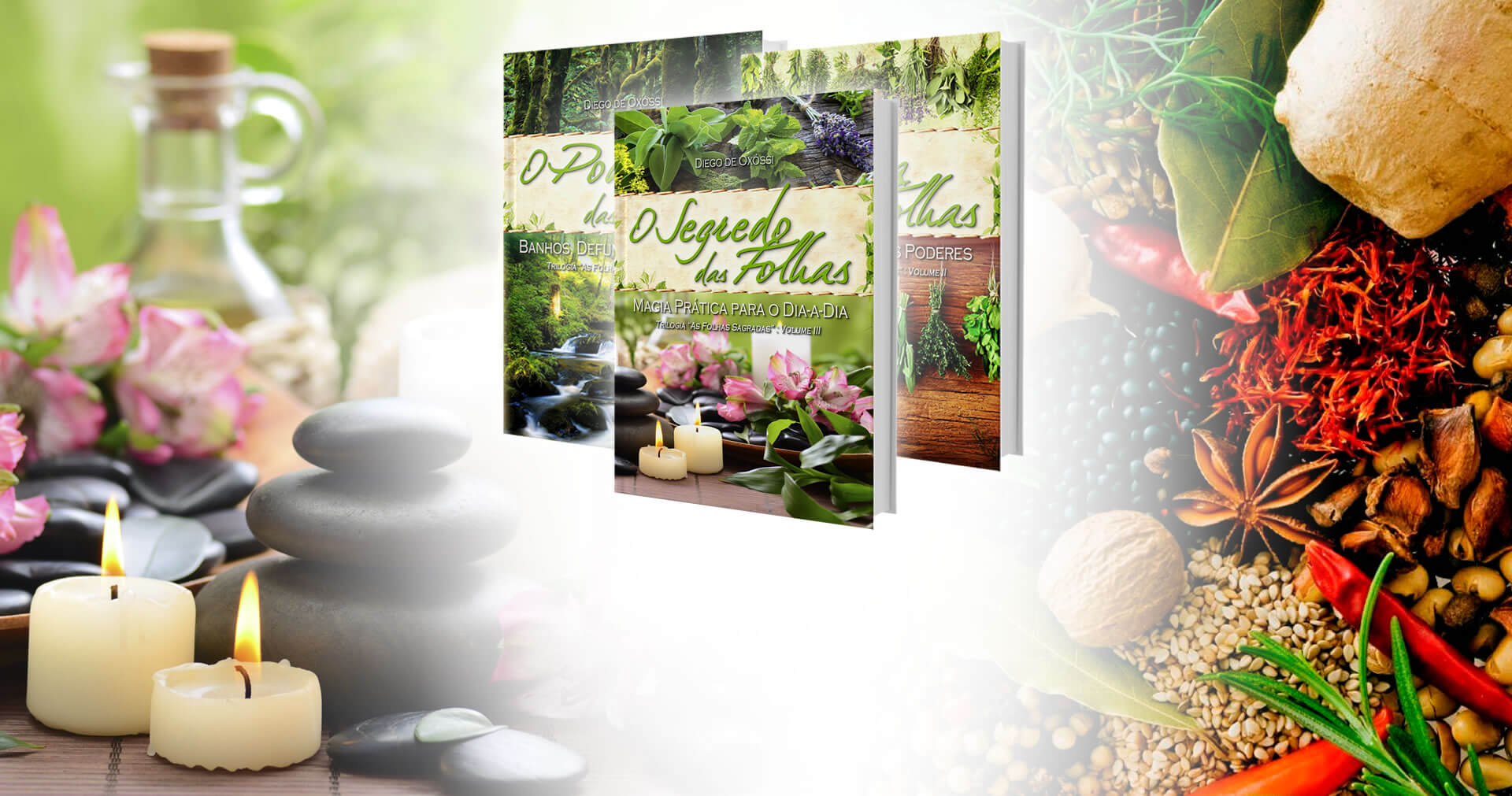 Orixás Para Crianças | In volume 2 of the collection, babalosha Diego de Oxóssi presents the biggest dictionary of magic herbs in Brazil, with 365 plants in details.